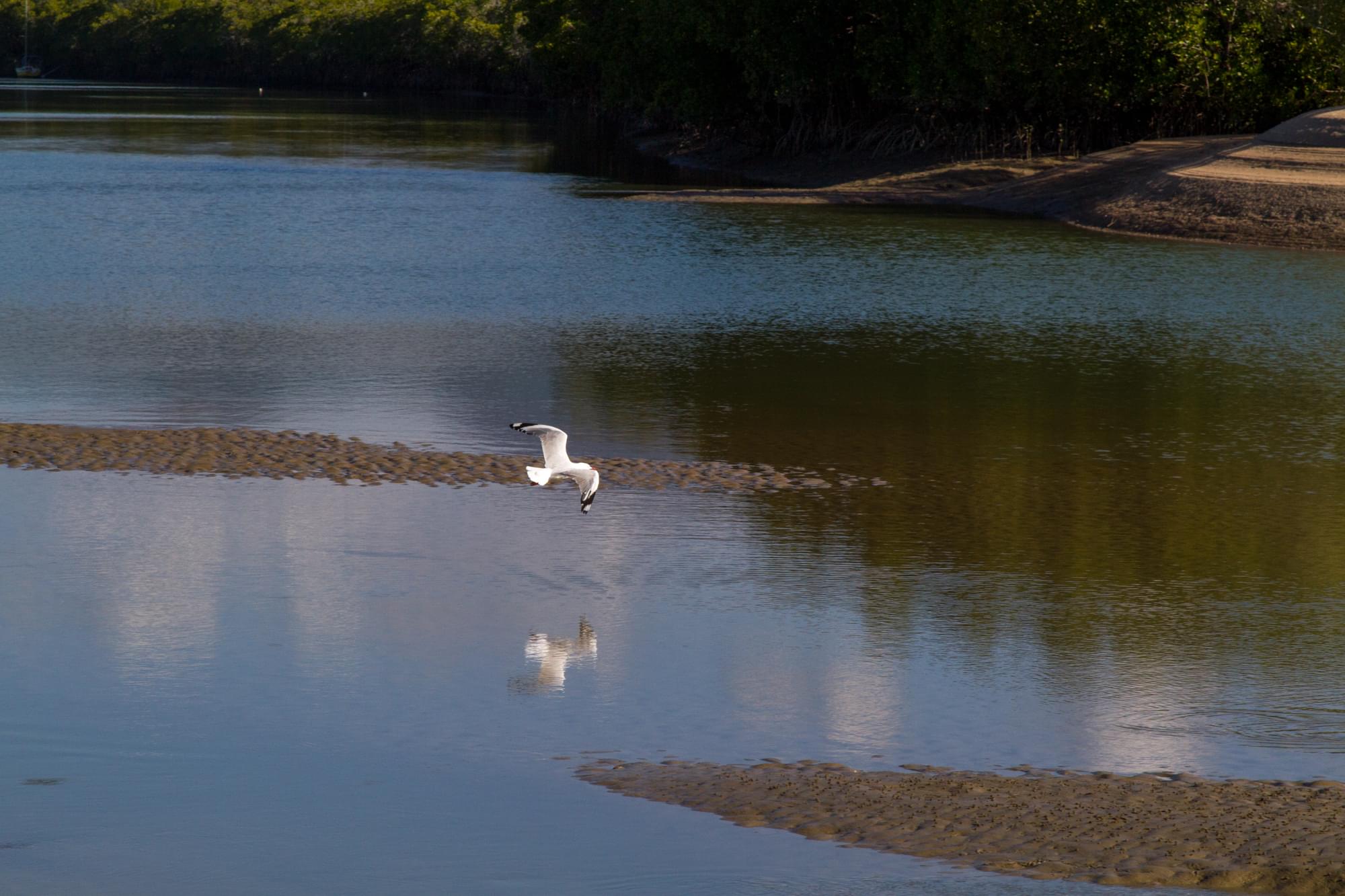 12_20150815   AUS 579   Queensland